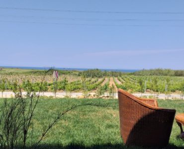 Defne-Bagevi-Bahce-ve-Manzara (2)